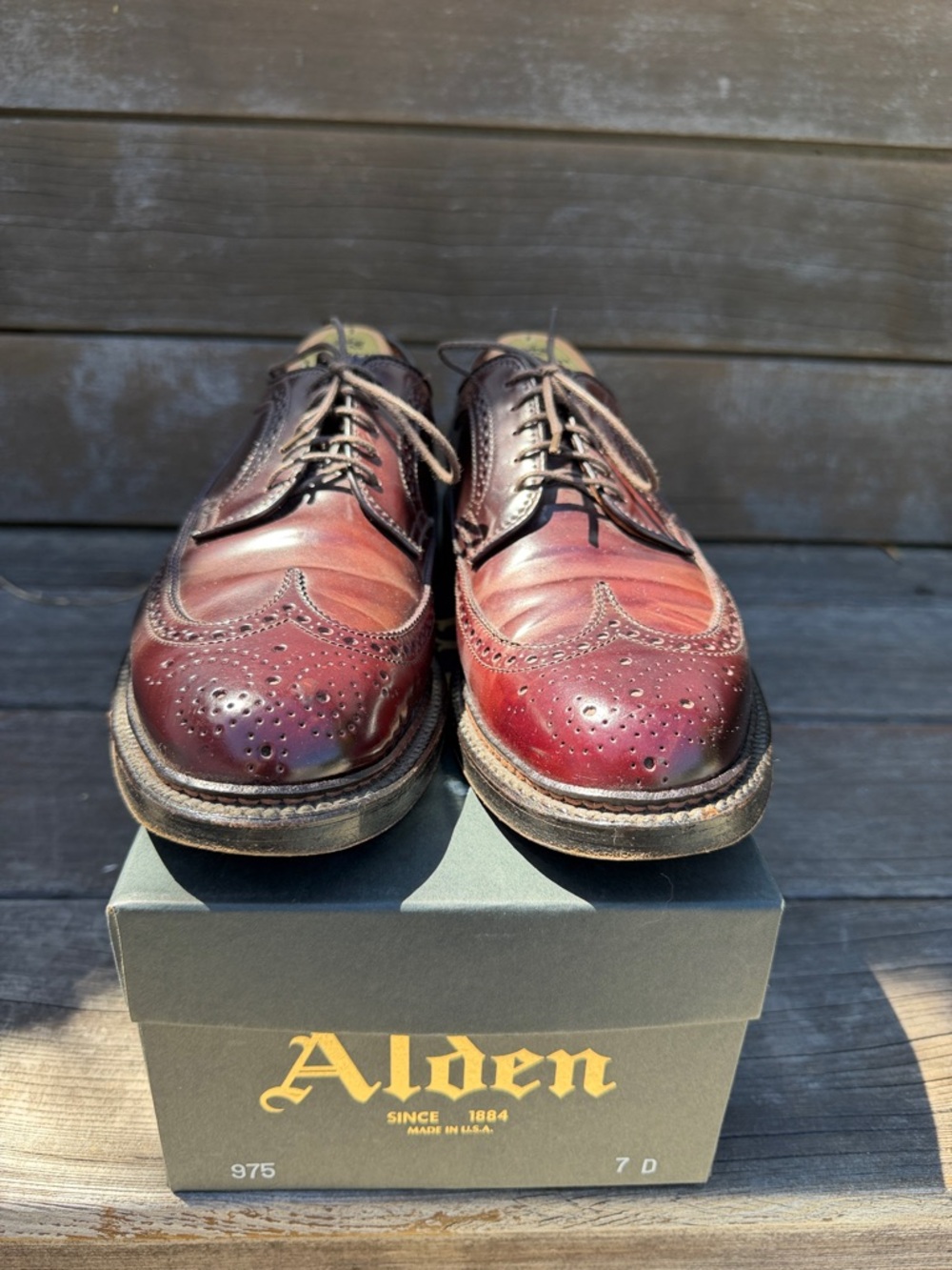 Alden Men's 975 - Long Wing Blucher - Color 8 Shell Cordovan